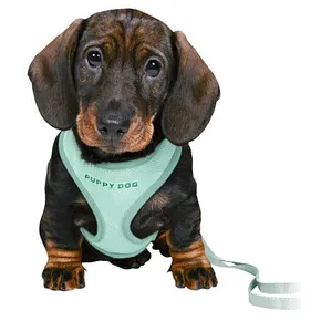 JUNIOR SOFT Geschirr mit Leine für Welpen, mint S-M: 26-34 cm/10 mm, 2,00 m